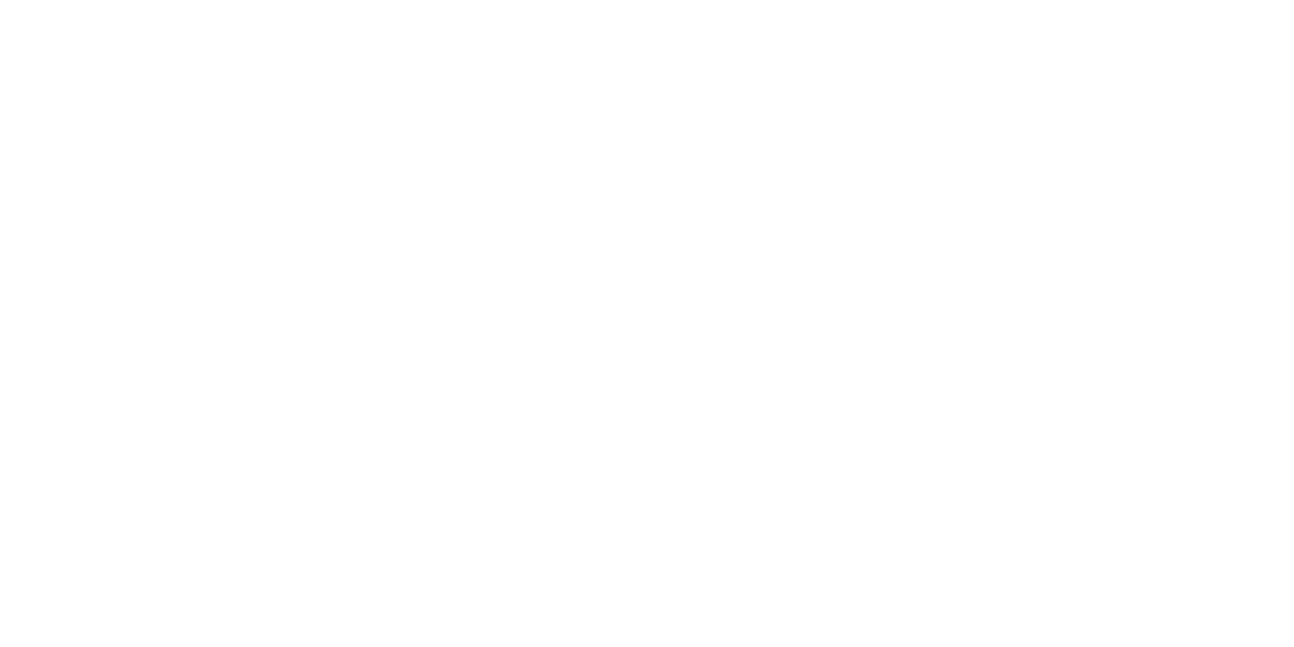Viarmo Accounting & Consulting Services Logo White